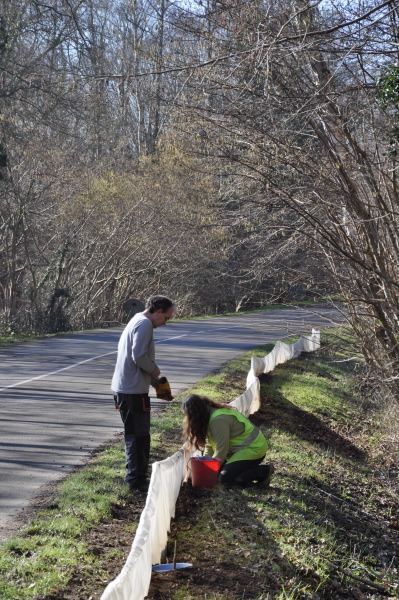 2013 02 25 Montage du crapaudrome 28